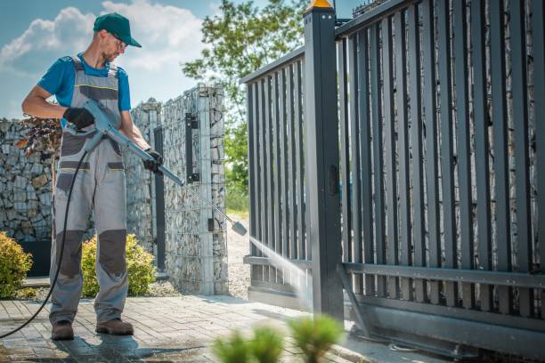 Best Gutter Cleaning  in Cattaraugus, NY