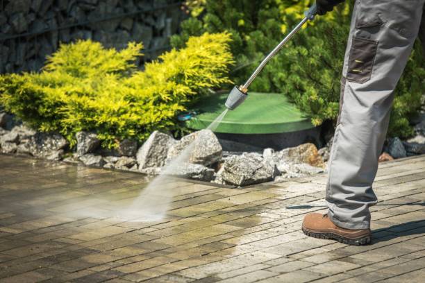 Best Oil Spill Cleanup  in Cattaraugus, NY