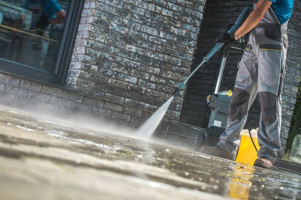 Best Fleet Vehicle Washing  in Cattaraugus, NY