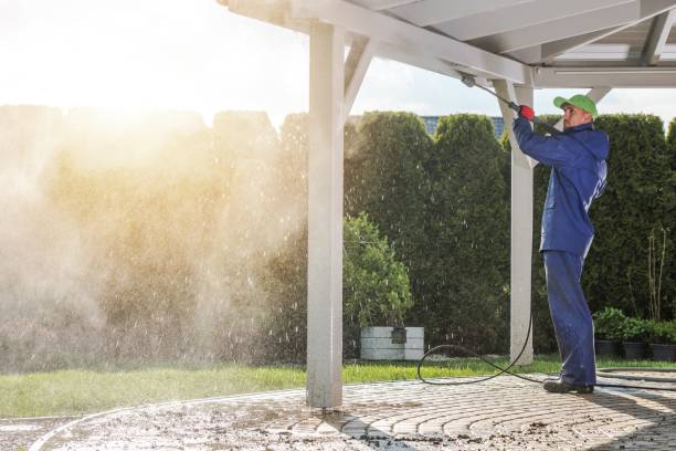 Best Paint Preparation  in Cattaraugus, NY