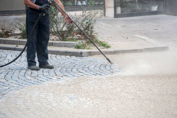 Best Dumpster Area Cleaning  in Cattaraugus, NY