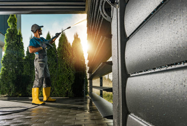 Best Roof Washing  in Cattaraugus, NY